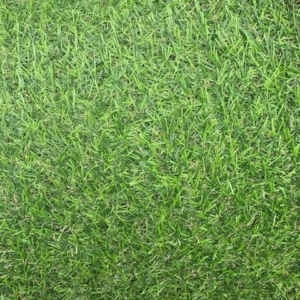 Artificial Grass (4m Width) 15mm (Gardenia)