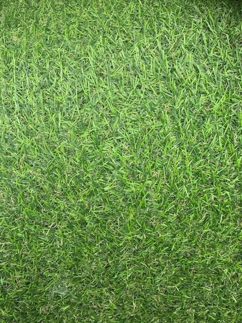 Artificial Grass (4m Width) 15mm (Gardenia)