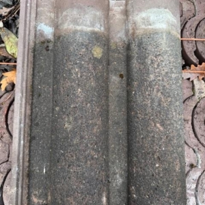 Marley Bold Roll