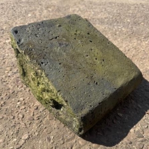 Staffordshire blue sloping coping stones