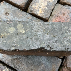 Staffordshire Blue Solid Bricks 80mm