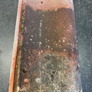 Anglia Plus Concrete Roof Tile (Red)