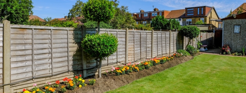 helpful guide to replacing garden fences
