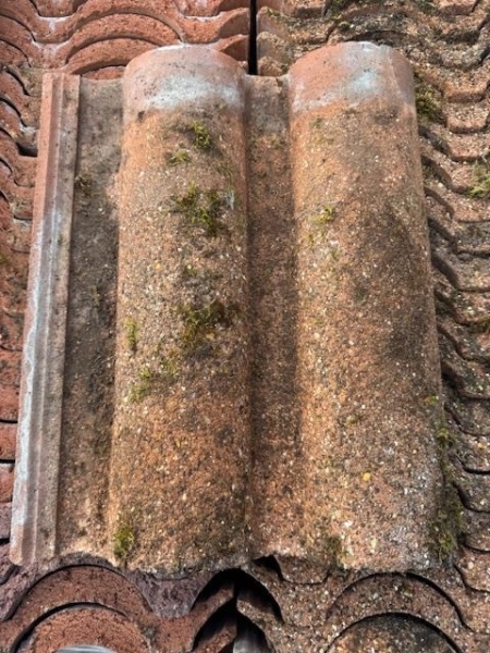 Marley bold roll terracotta
